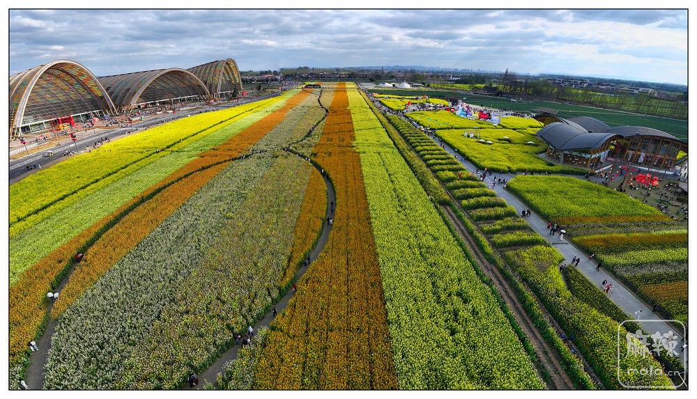 dji_export_20260302_160923_1772438963988_sphere_screenshot.jpg