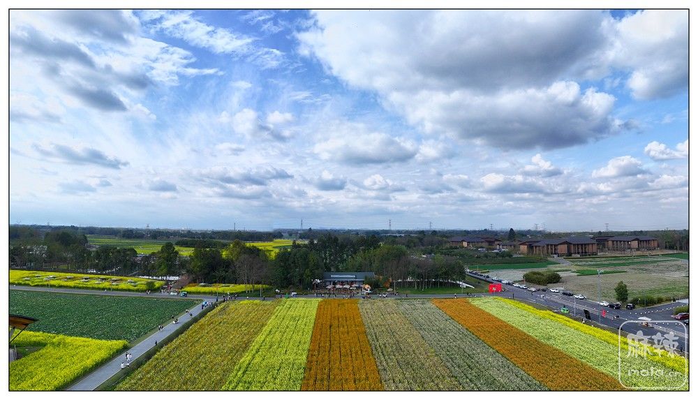 dji_export_20260302_161023_1772439023876_sphere_screenshot.jpg