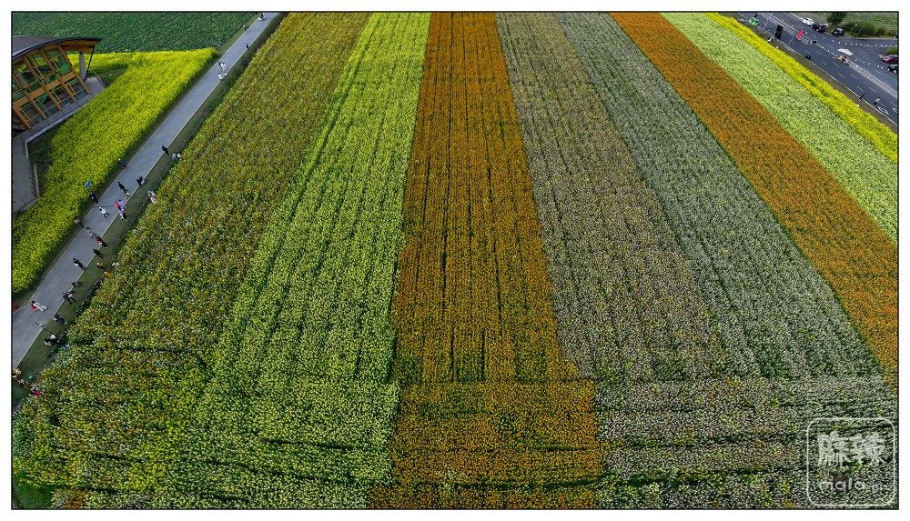 dji_export_20260302_161054_1772439054023_sphere_screenshot.jpg