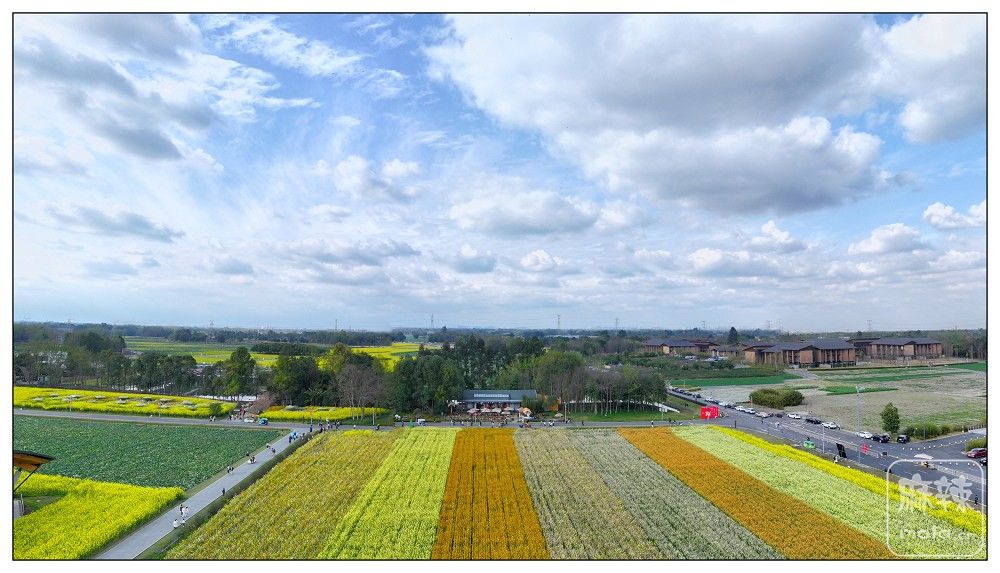 dji_export_20260302_161135_1772439095344_sphere_screenshot.jpg