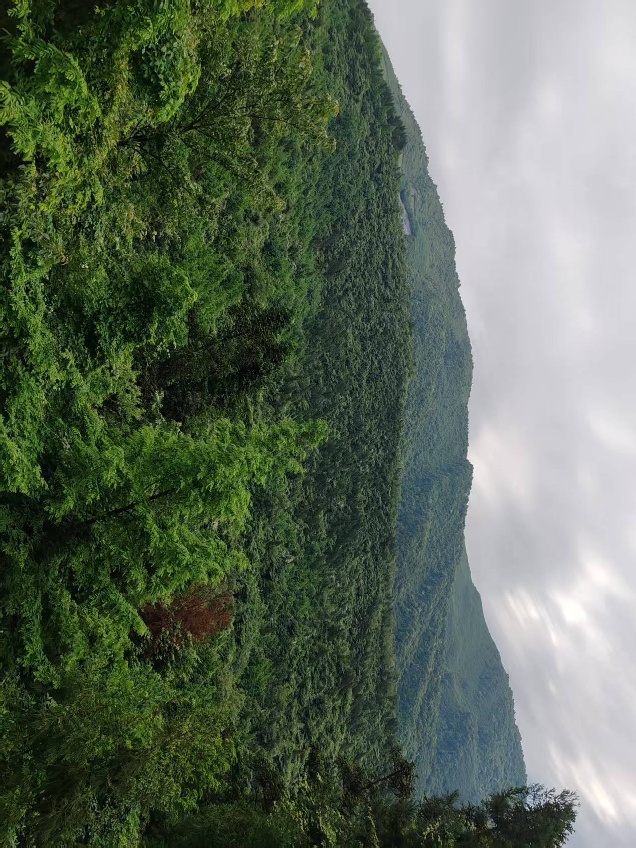 ΢��ͼƬ_20260602110801_1902_2.jpg