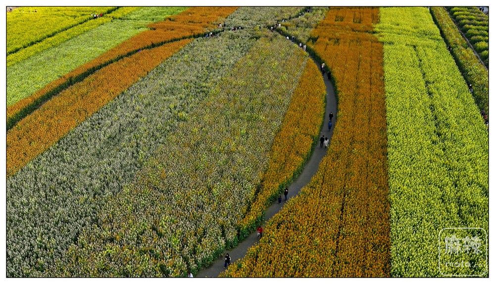 dji_export_20260302_161404_1772439244978_sphere_screenshot.jpg