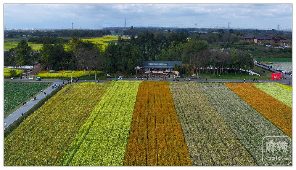 dji_export_20260302_161154_1772439114130_sphere_screenshot.jpg