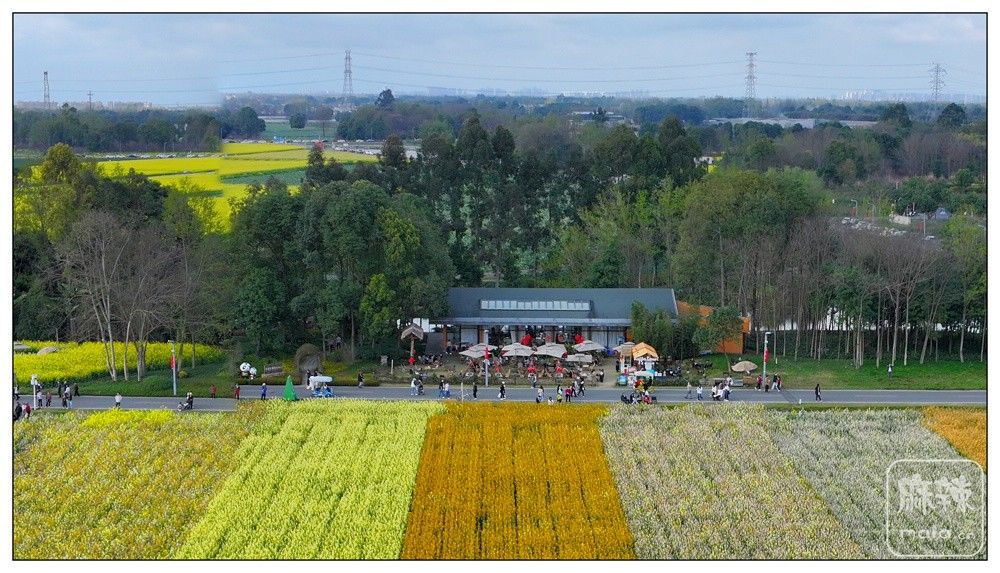 dji_export_20260302_161209_1772439129431_sphere_screenshot.jpg