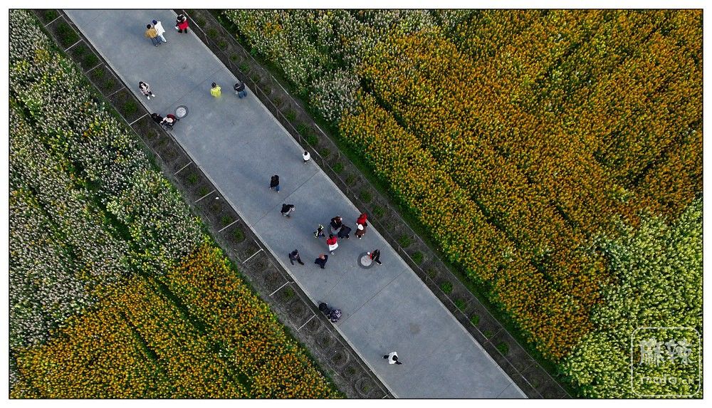 dji_export_20260302_161323_1772439203104_sphere_screenshot.jpg