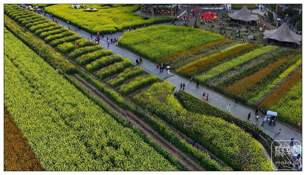 dji_export_20260302_161437_1772439277921_sphere_screenshot.jpg