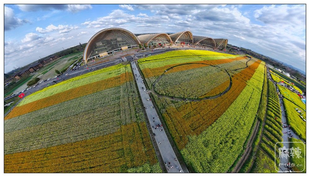 dji_export_20260302_161638_1772439398604_sphere_screenshot.jpg