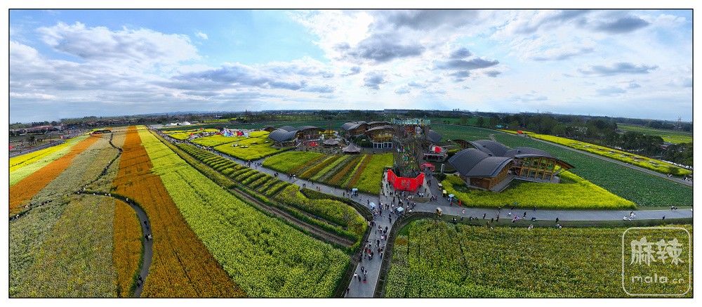 dji_export_20260302_161705_1772439425672_sphere_screenshot.jpg