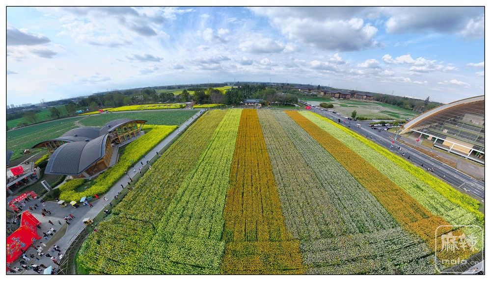 dji_export_20260302_161819_1772439499108_sphere_screenshot.jpg