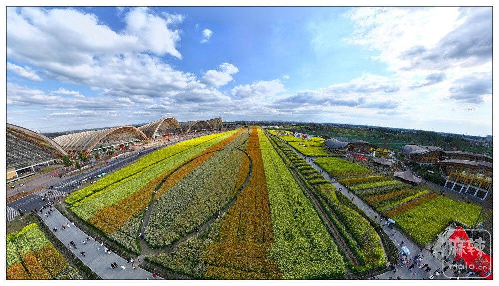 dji_export_20260302_161722_1772439442849_sphere_screenshot.jpg