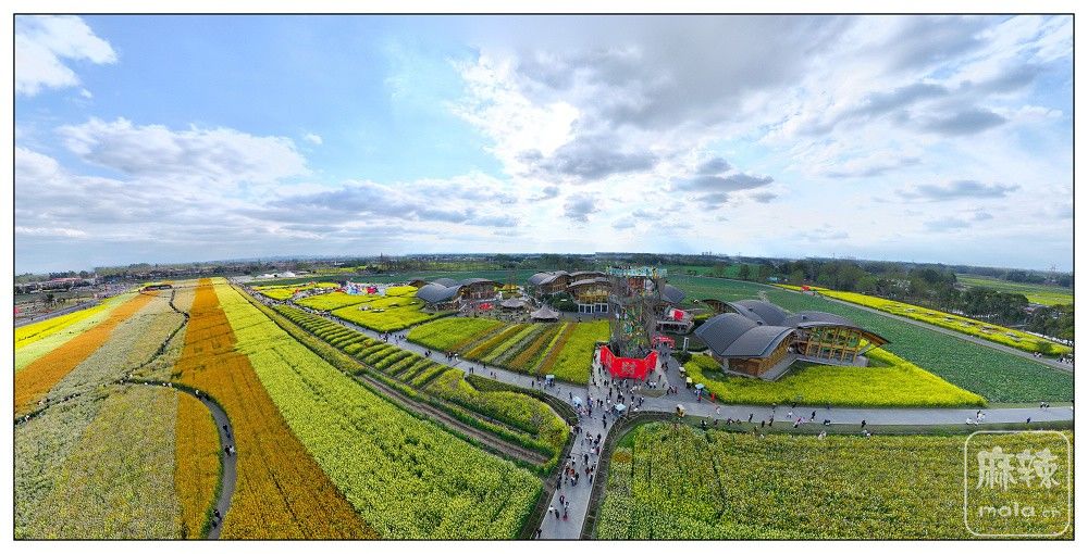 dji_export_20260302_161734_1772439454507_sphere_screenshot.jpg