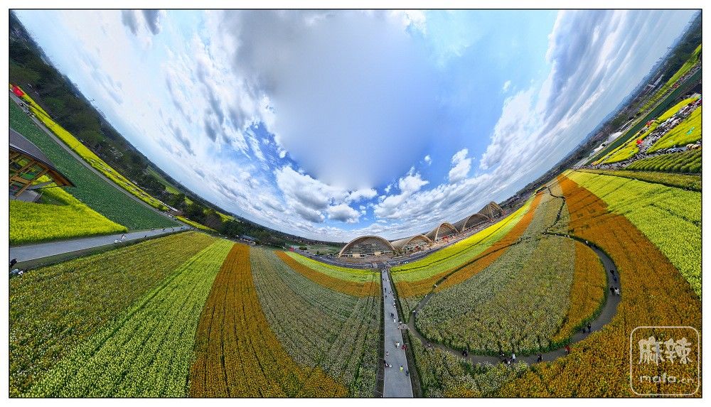 dji_export_20260302_161948_1772439588363_sphere_screenshot.jpg