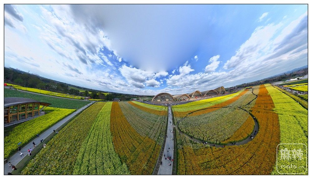 dji_export_20260302_161956_1772439596745_sphere_screenshot.jpg
