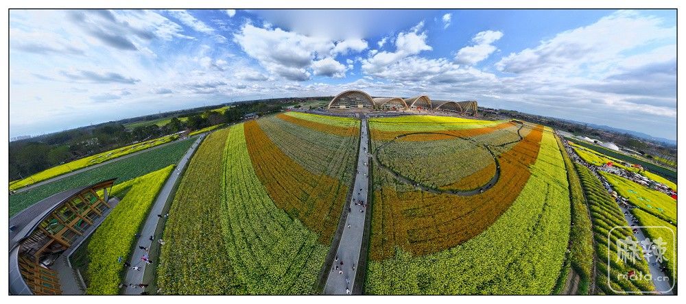 dji_export_20260302_162007_1772439607208_sphere_screenshot.jpg