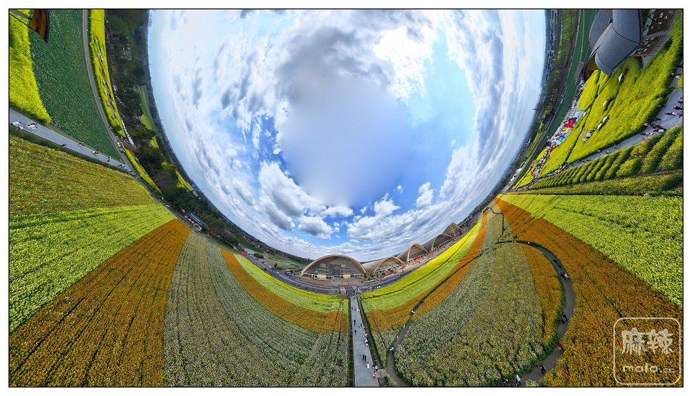 dji_export_20260302_161941_1772439581350_sphere_screenshot.jpg