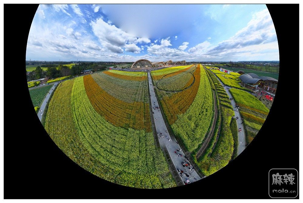 dji_export_20260302_162043_1772439643666_sphere_screenshot.jpg