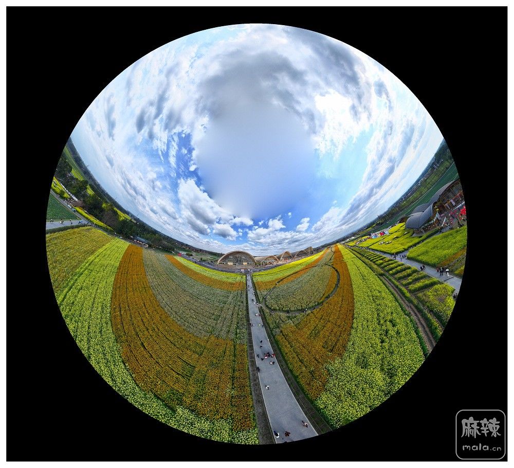 dji_export_20260302_162117_1772439677664_sphere_screenshot.jpg