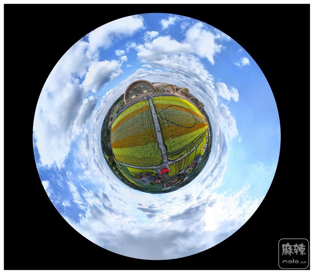 dji_export_20260302_162059_1772439659453_sphere_screenshot.jpg