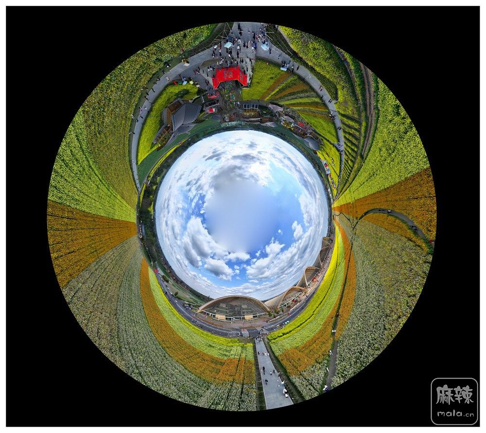 dji_export_20260302_162130_1772439690362_sphere_screenshot.jpg