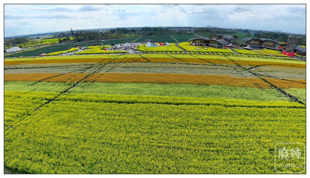 dji_export_20260302_162445_1772439885585_sphere_screenshot.jpg