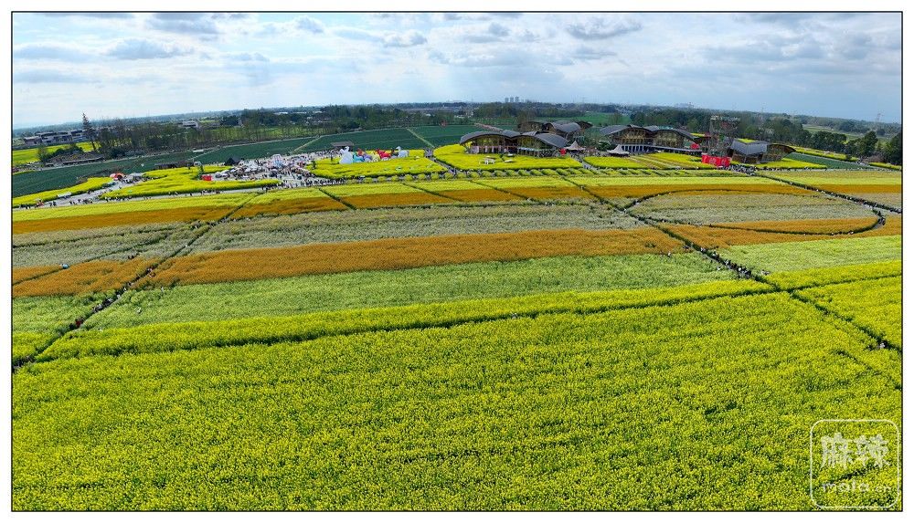 dji_export_20260302_162434_1772439874325_sphere_screenshot.jpg