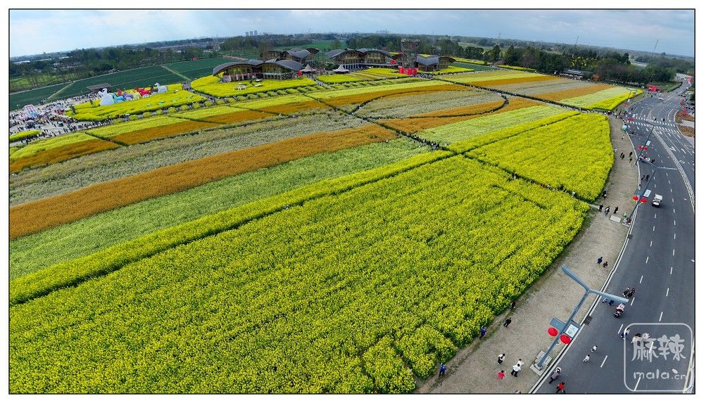 dji_export_20260302_162415_1772439855579_sphere_screenshot.jpg