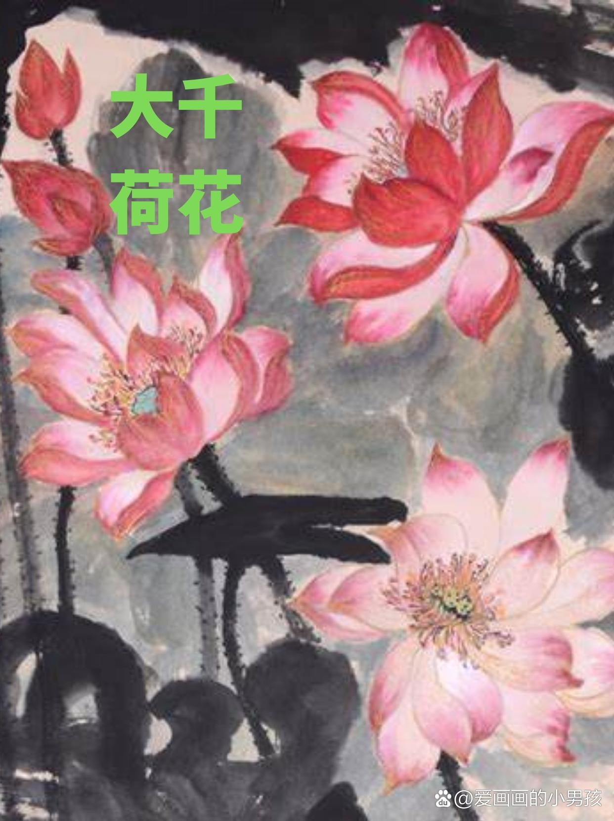 140550zsqf28asb2sngnfb.jpeg