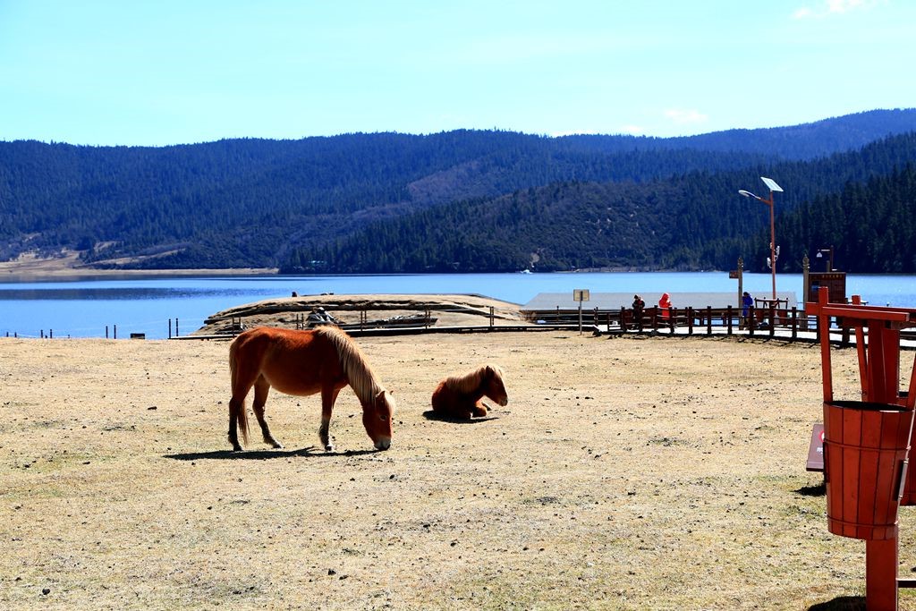 L_JY4150_����.jpg