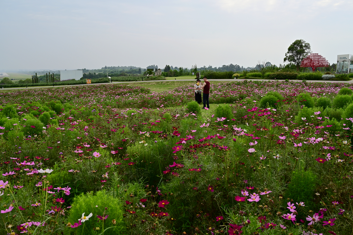 DSC_3809_����.jpg