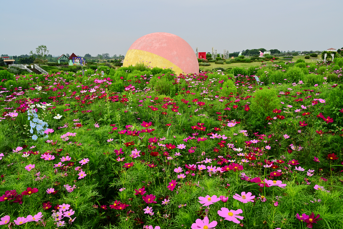 DSC_3811_����.jpg