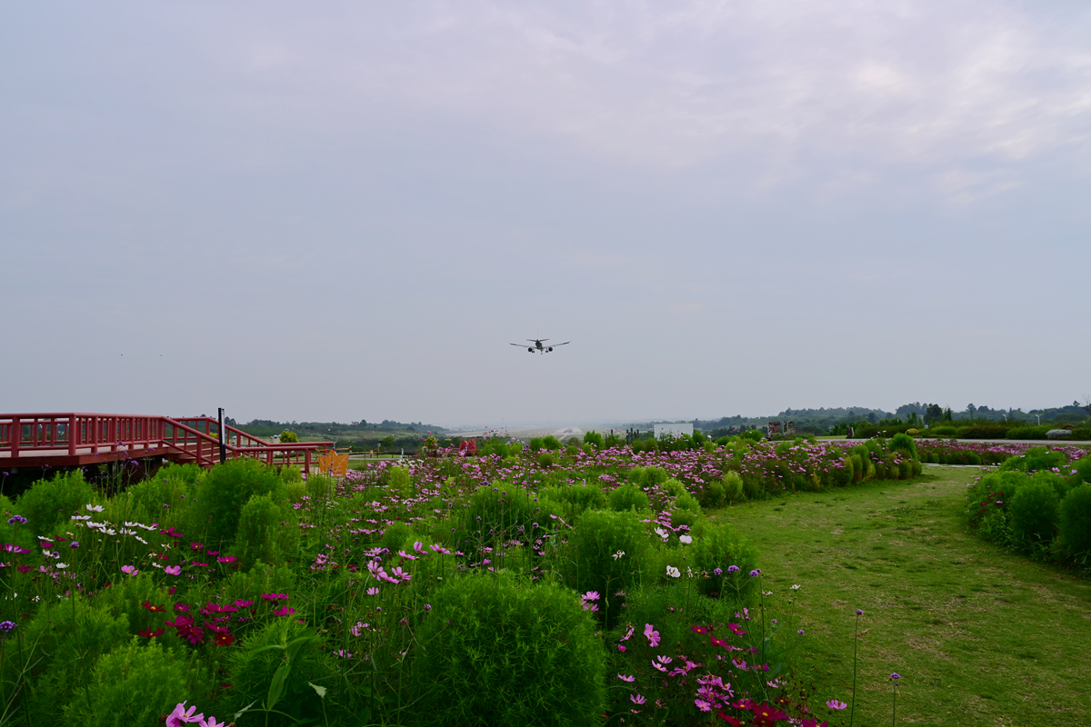 DSC_3814_����.jpg