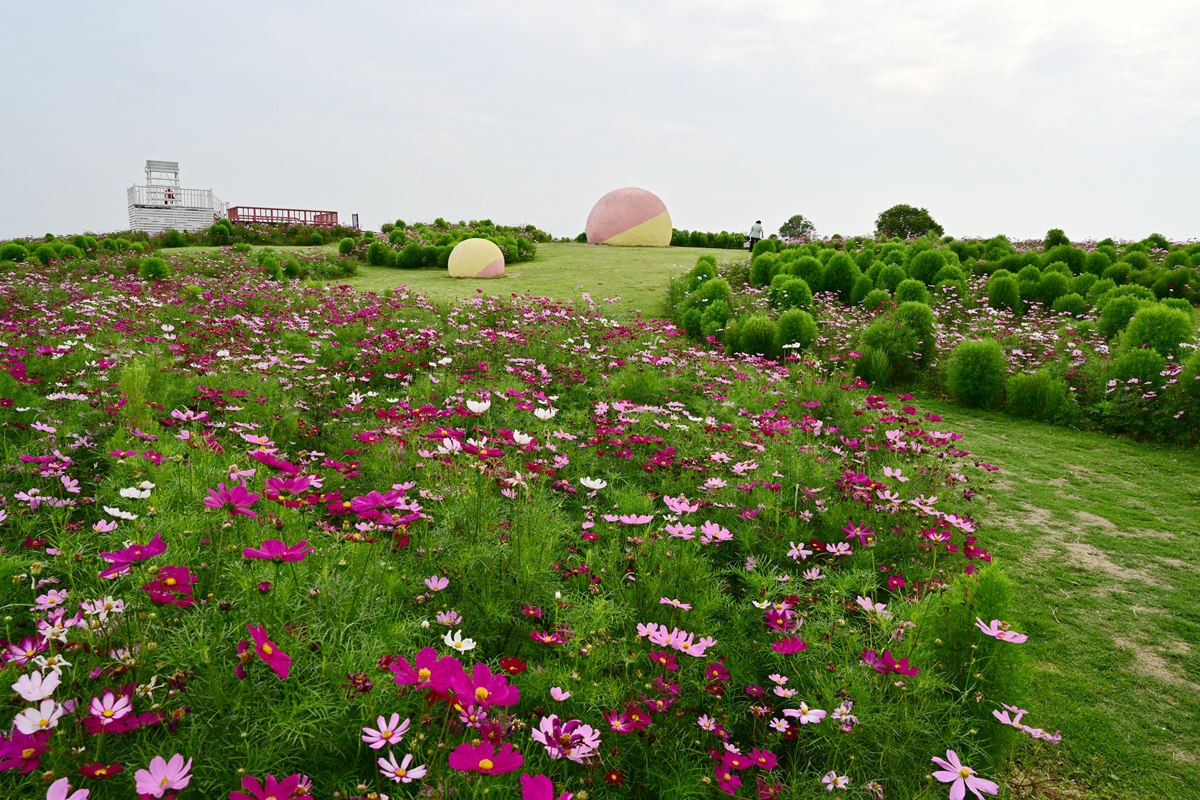 DSC_3818_����.jpg