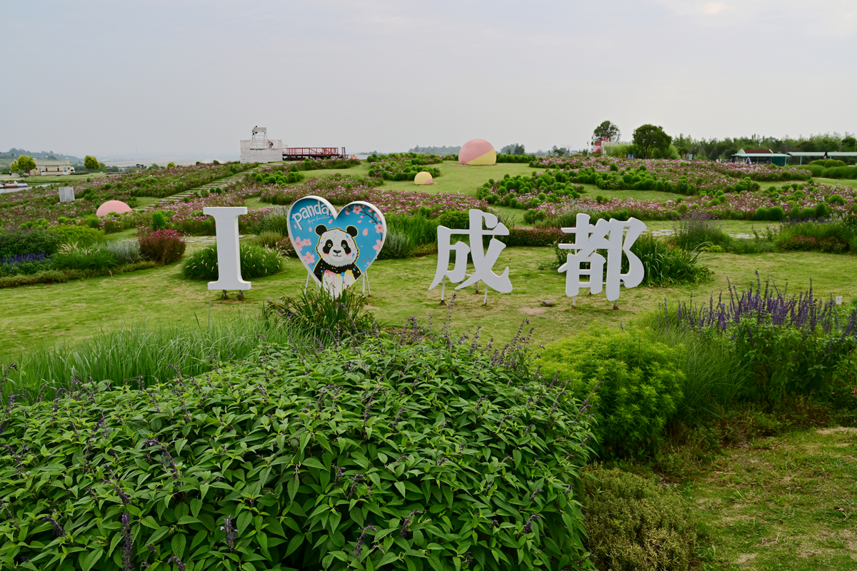 DSC_3826_����.jpg
