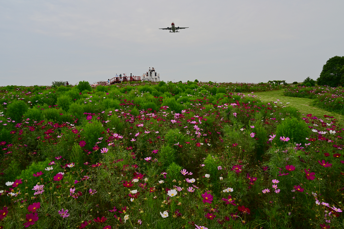 DSC_3835_����.jpg
