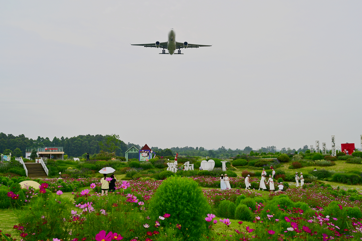 DSC_3883_����.jpg