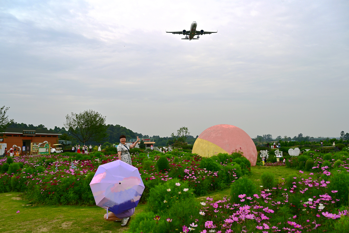 DSC_3890_����.jpg