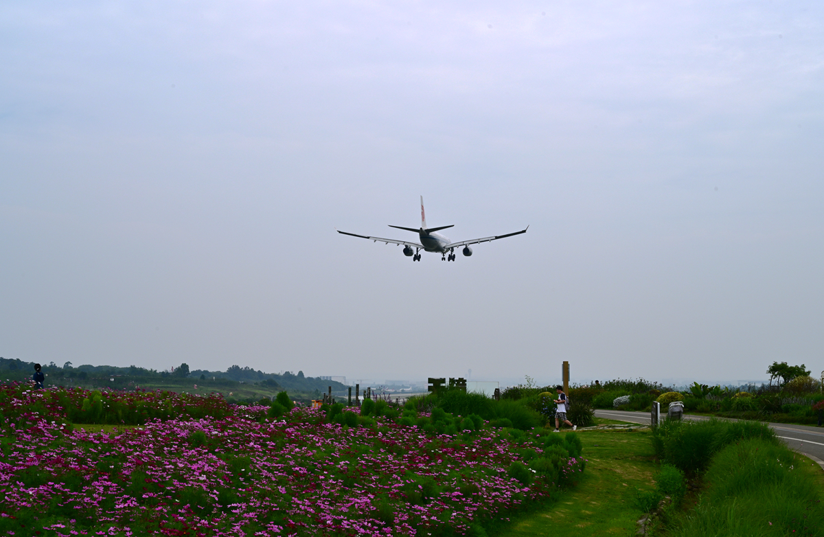 DSC_3906_����_����.jpg