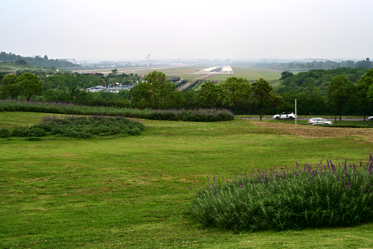 DSC_3908_����.jpg