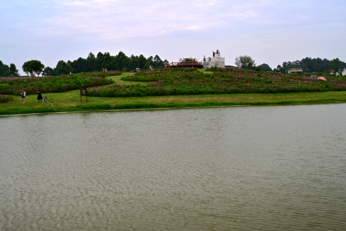 DSC_3913_����.jpg