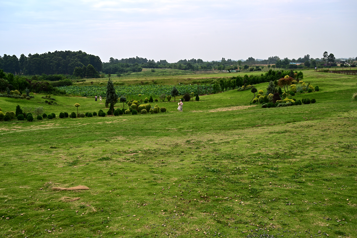 DSC_3920_����.jpg