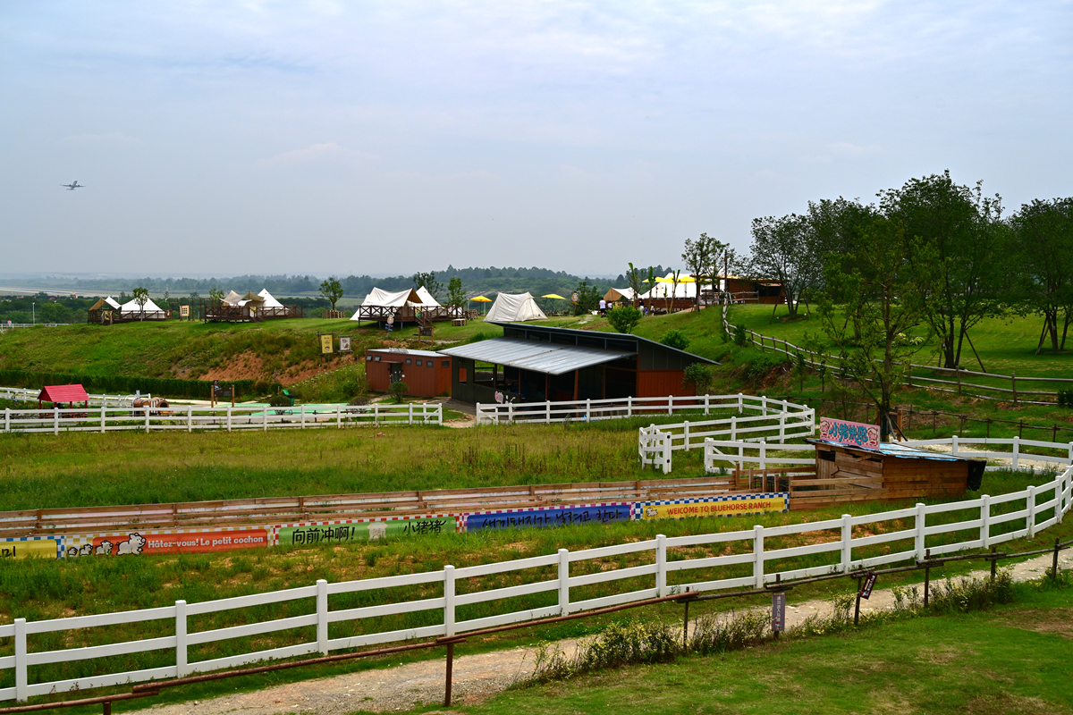 DSC_3945_����.jpg