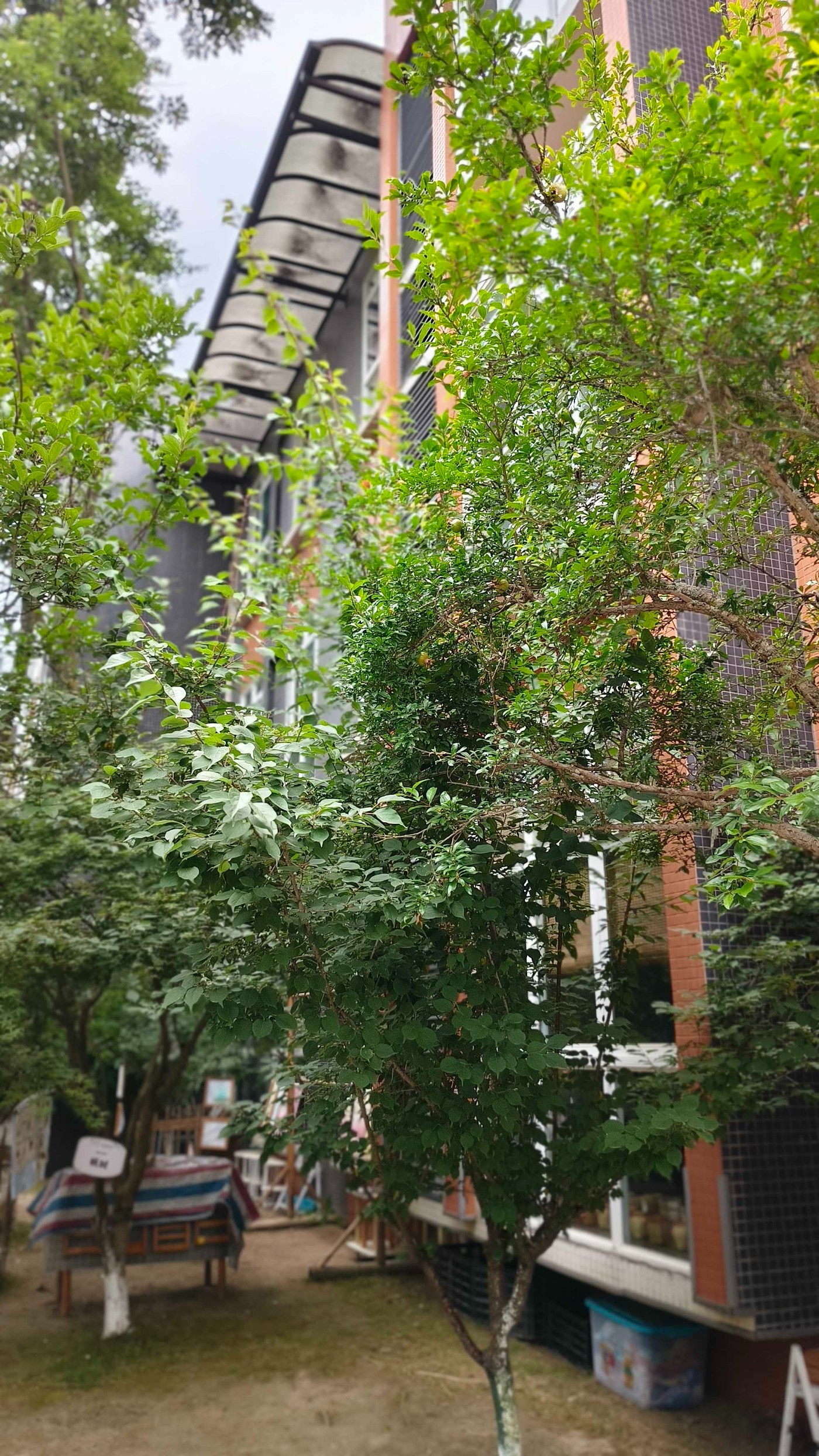 ΢��ͼƬ_20260603221354.jpg