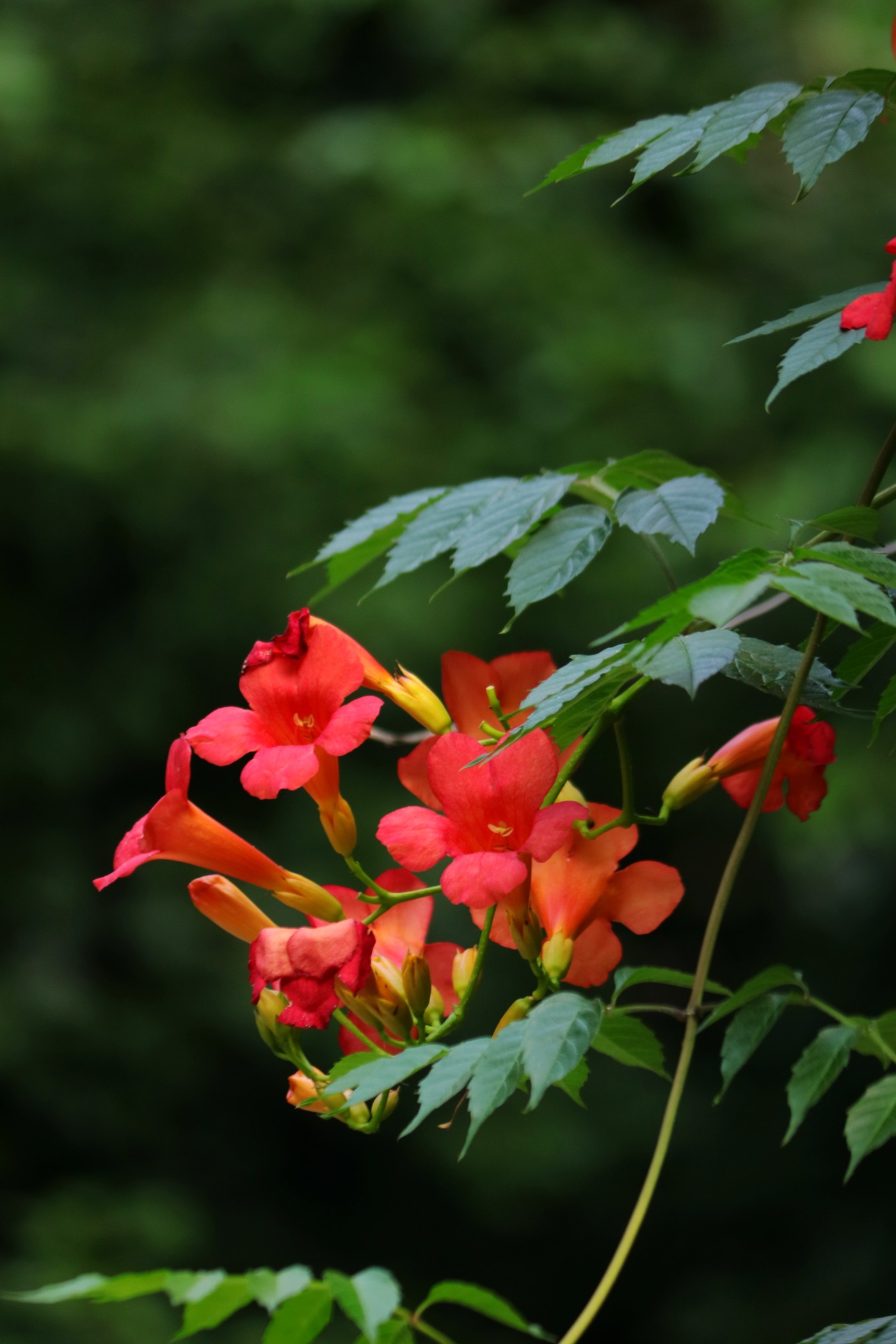 IMG_6291.JPG