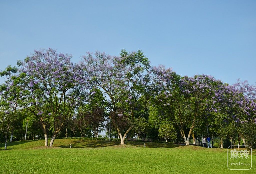 06.jpg