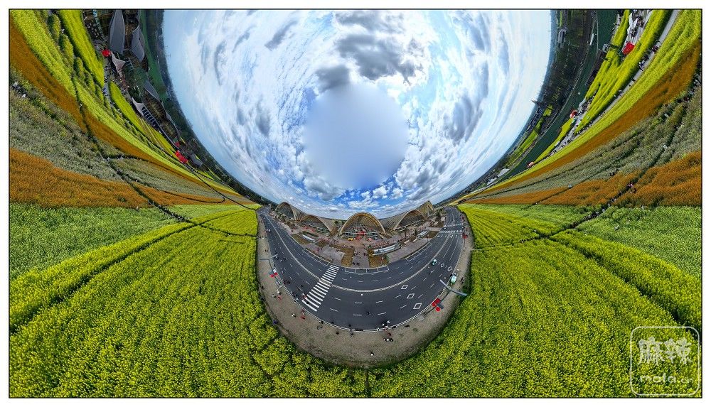 dji_export_20260302_163058_1772440258096_sphere_screenshot.jpg