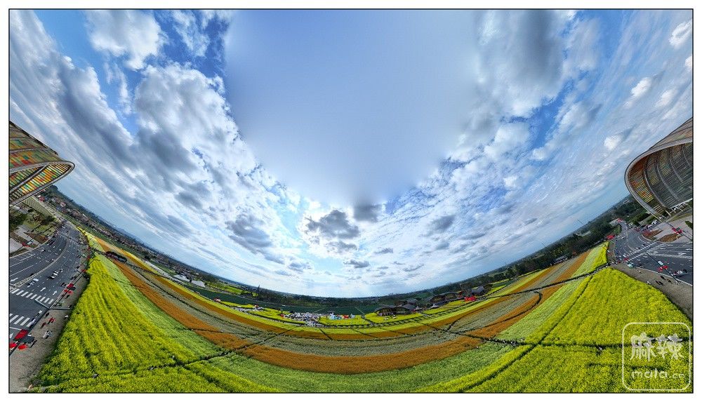 dji_export_20260302_162912_1772440152068_sphere_screenshot.jpg