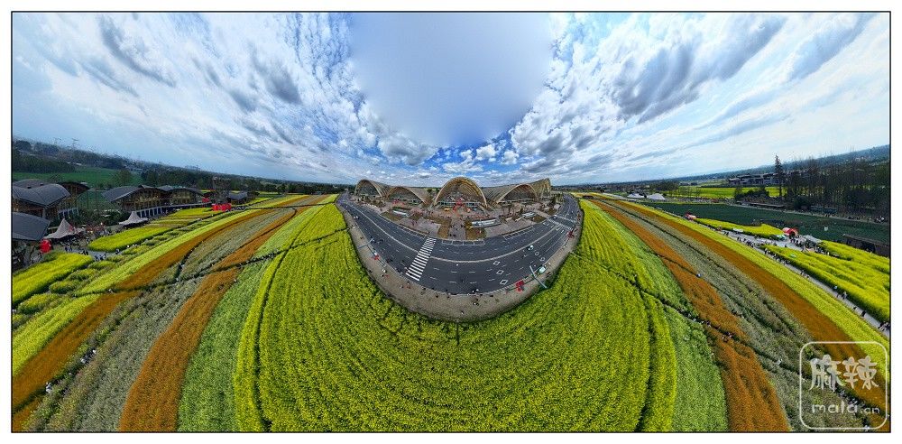 dji_export_20260302_163104_1772440264130_sphere_screenshot.jpg