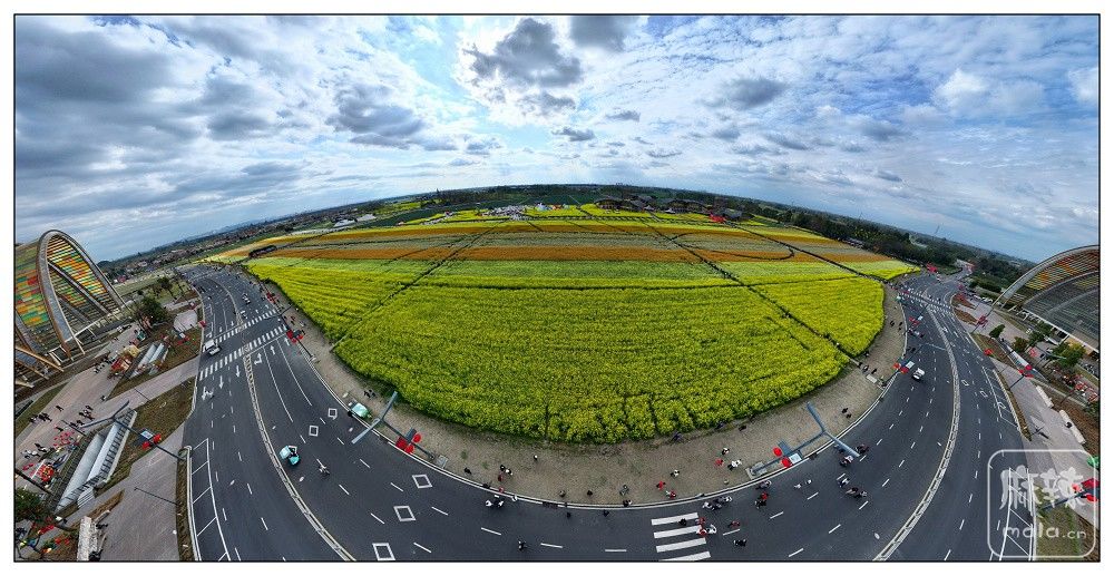 dji_export_20260302_162850_1772440130215_sphere_screenshot.jpg