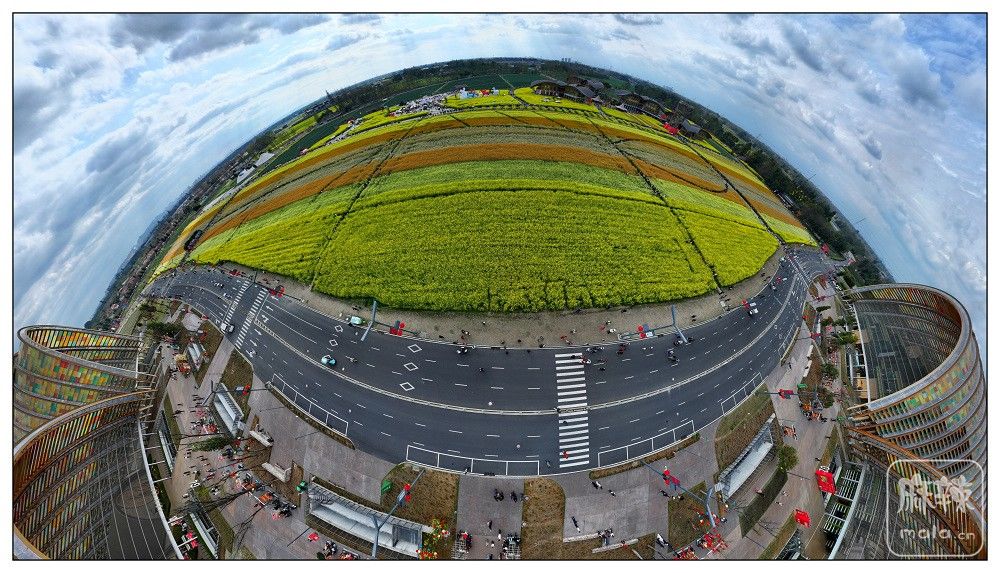 dji_export_20260302_162831_1772440111381_sphere_screenshot.jpg
