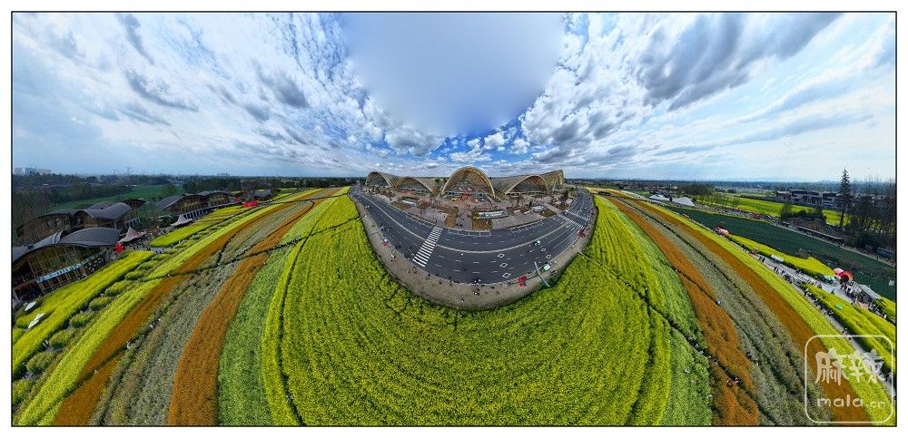 dji_export_20260302_163017_1772440217100_sphere_screenshot.jpg